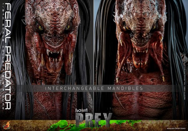 Feral Predator - Image 6