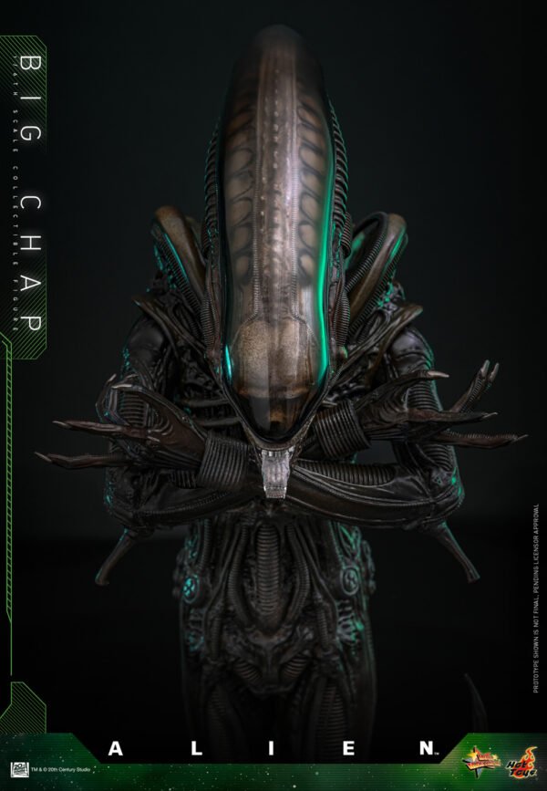 Aliens Big Chap